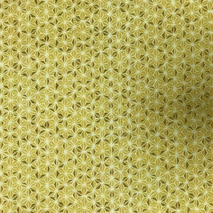 PC151 RR Noir Gold
