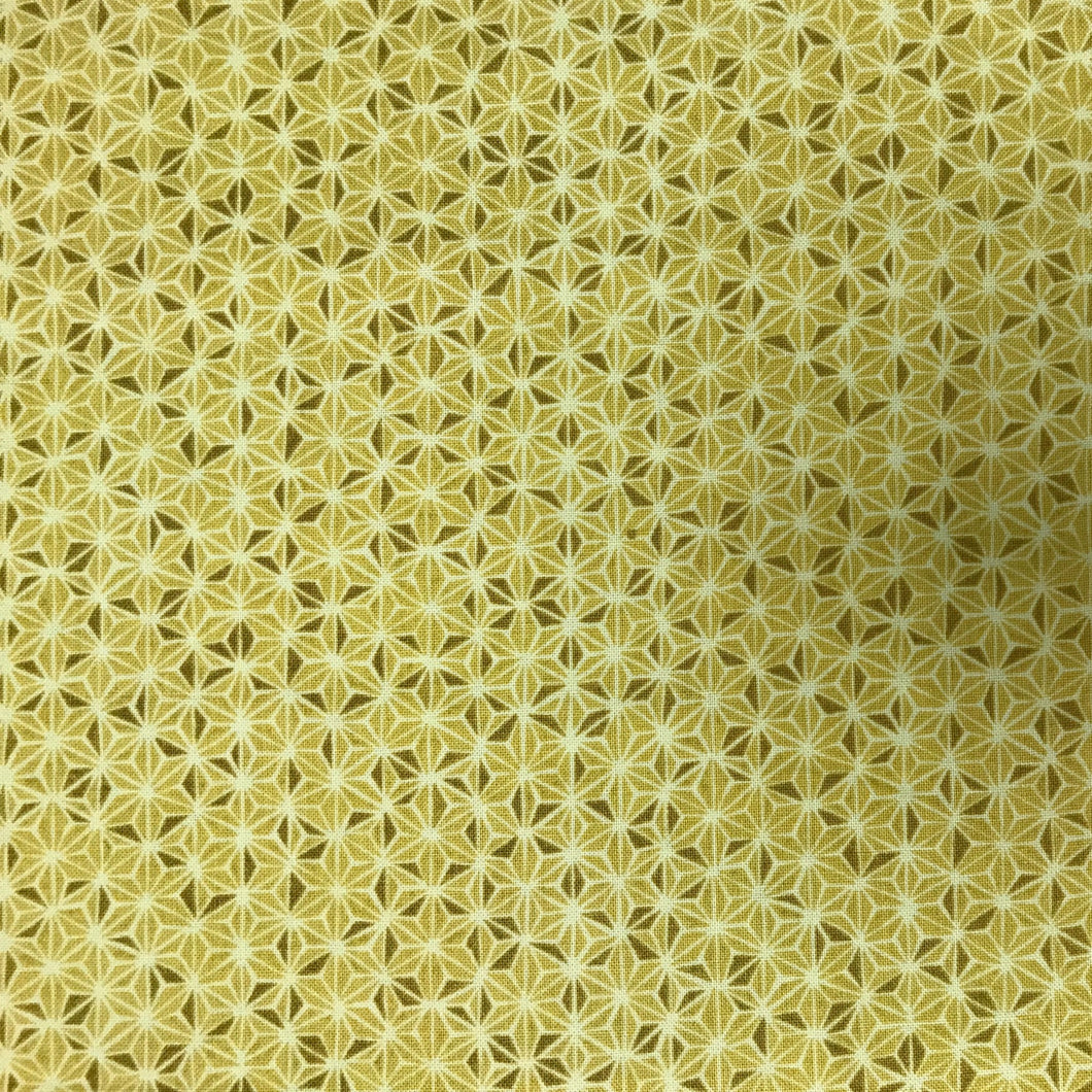 PC151 RR Noir Gold
