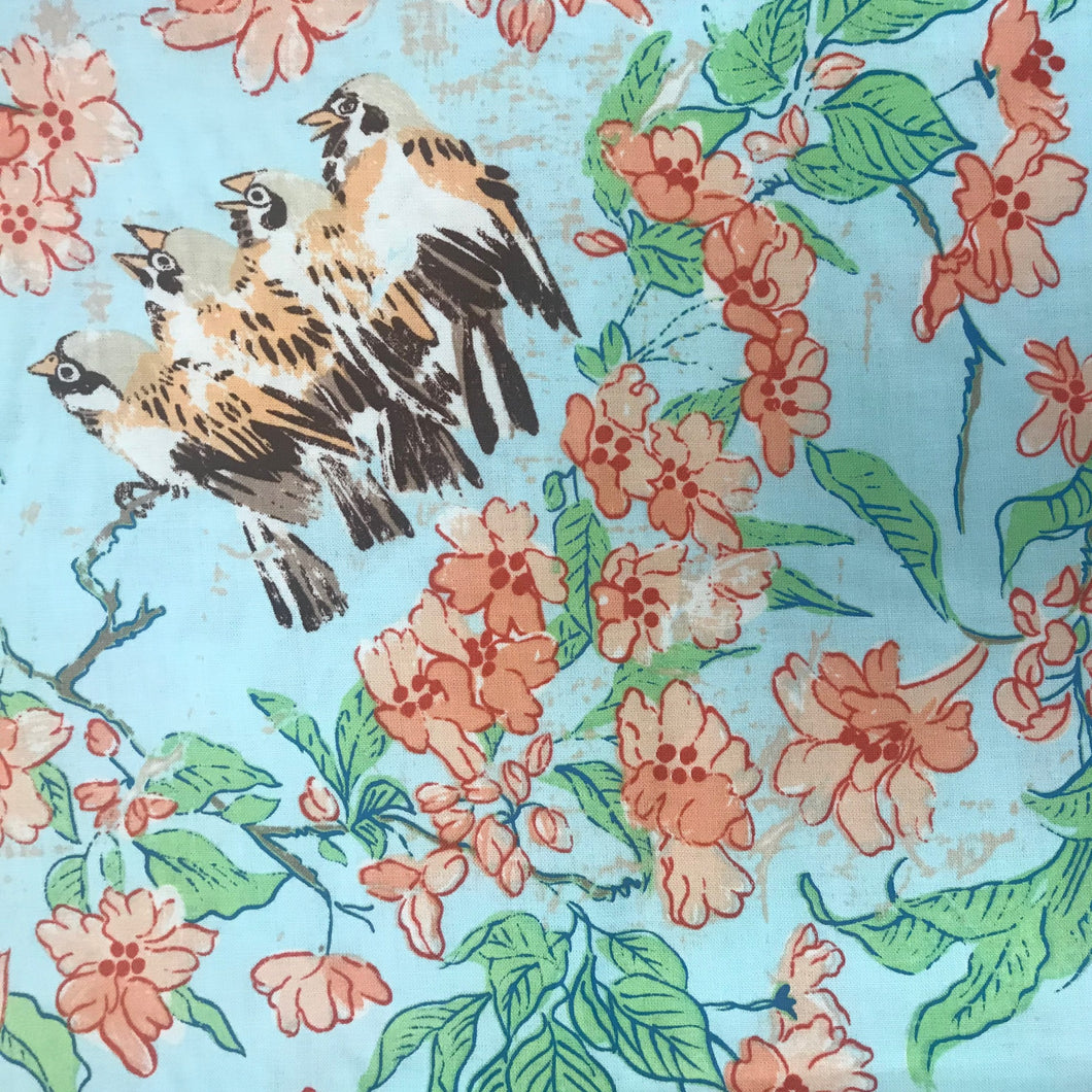 PC248 FS Blossom Edo