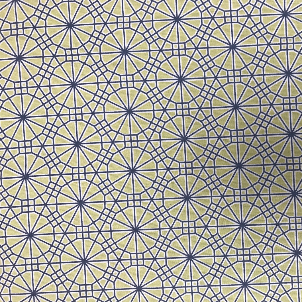 GP125 FS Web Asparagus