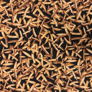 NP194 RJR Nosh Fries