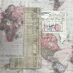 NP181 FS World Map Multi