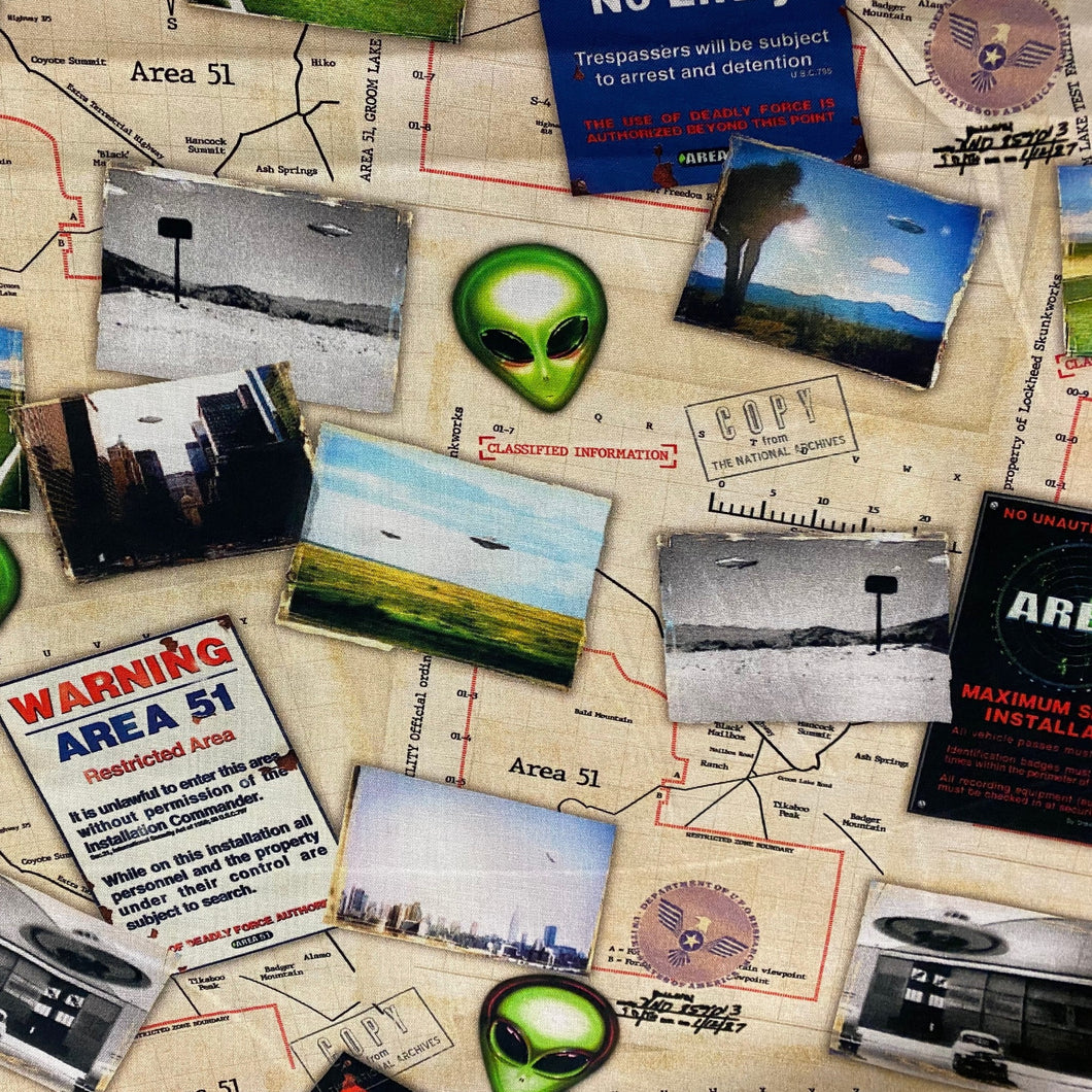 NP245 Area 51