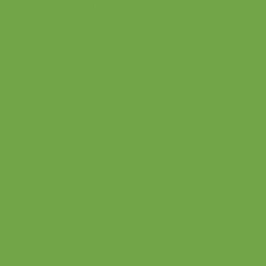 BS032 Apple Green