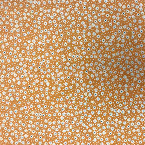 PC329 RJR Pie Day Orange