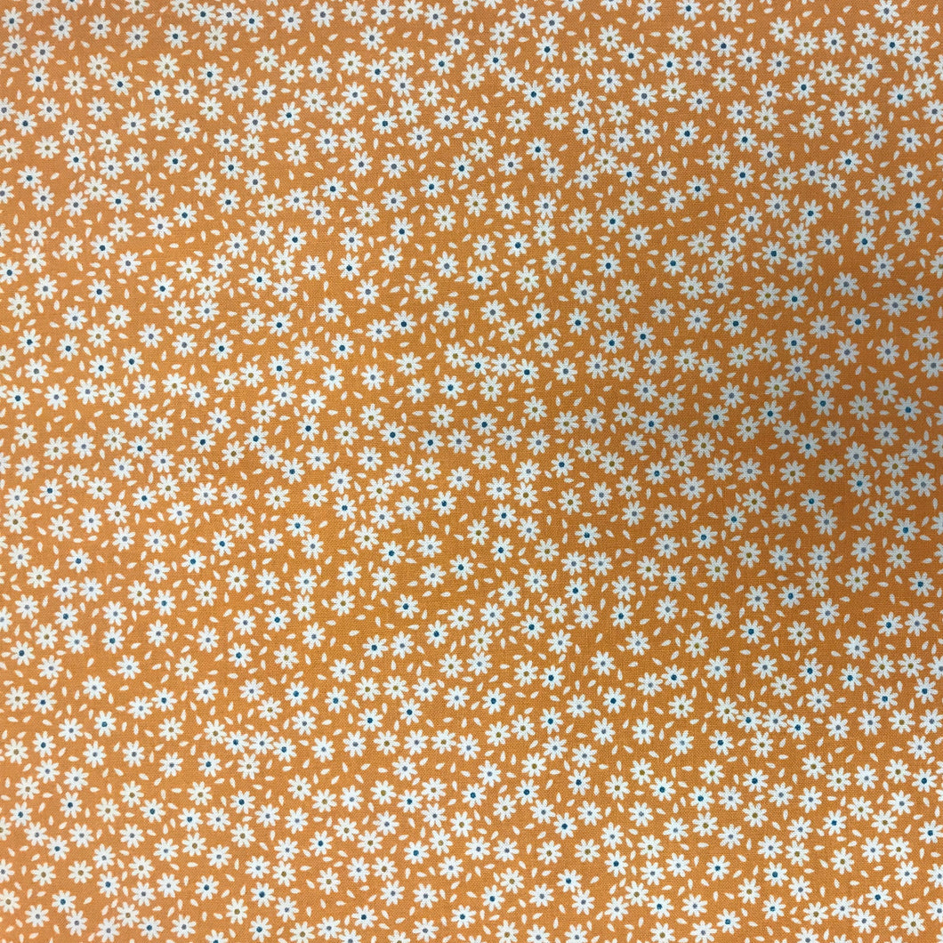 PC329 RJR Pie Day Orange