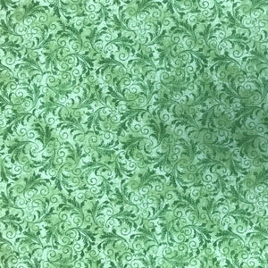 PC211 TT Echo Fern