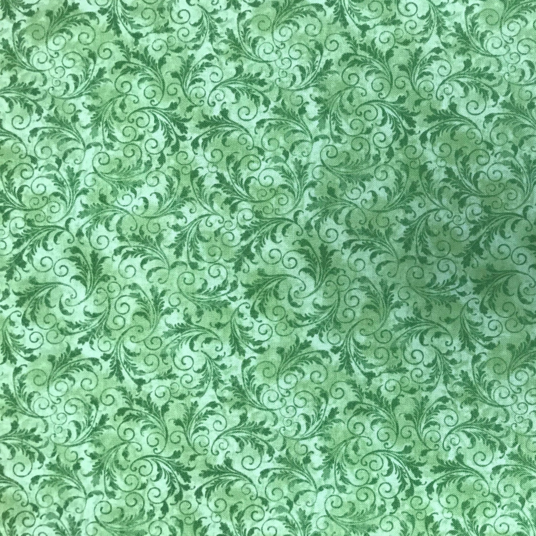 PC211 TT Echo Fern