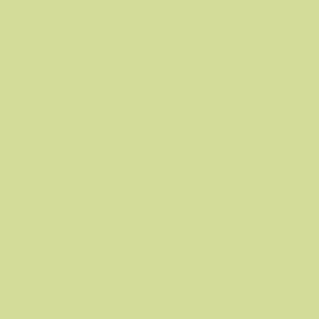 BS029 Mint