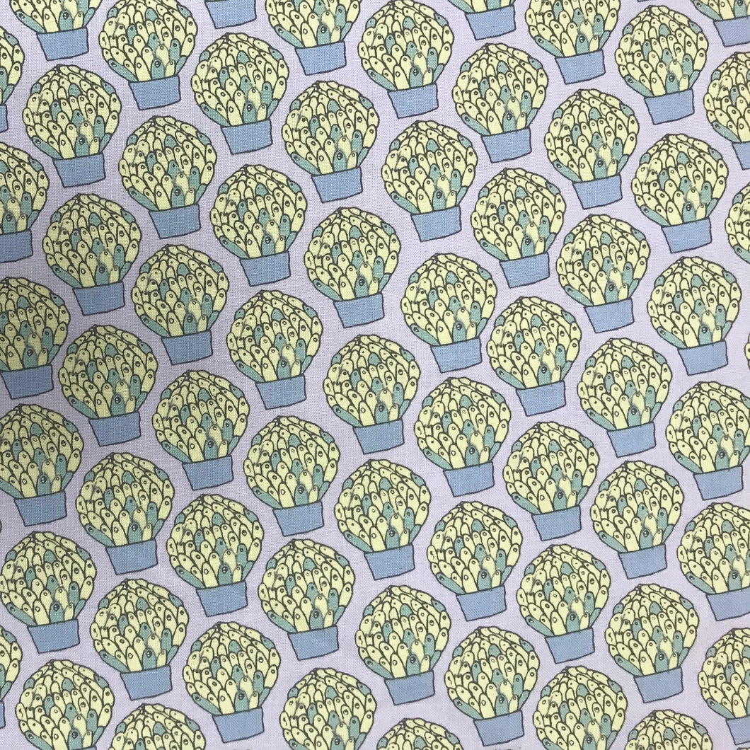 GP212 Wind Succulents Plant