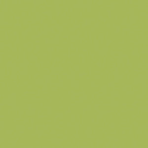 BS030 Celery