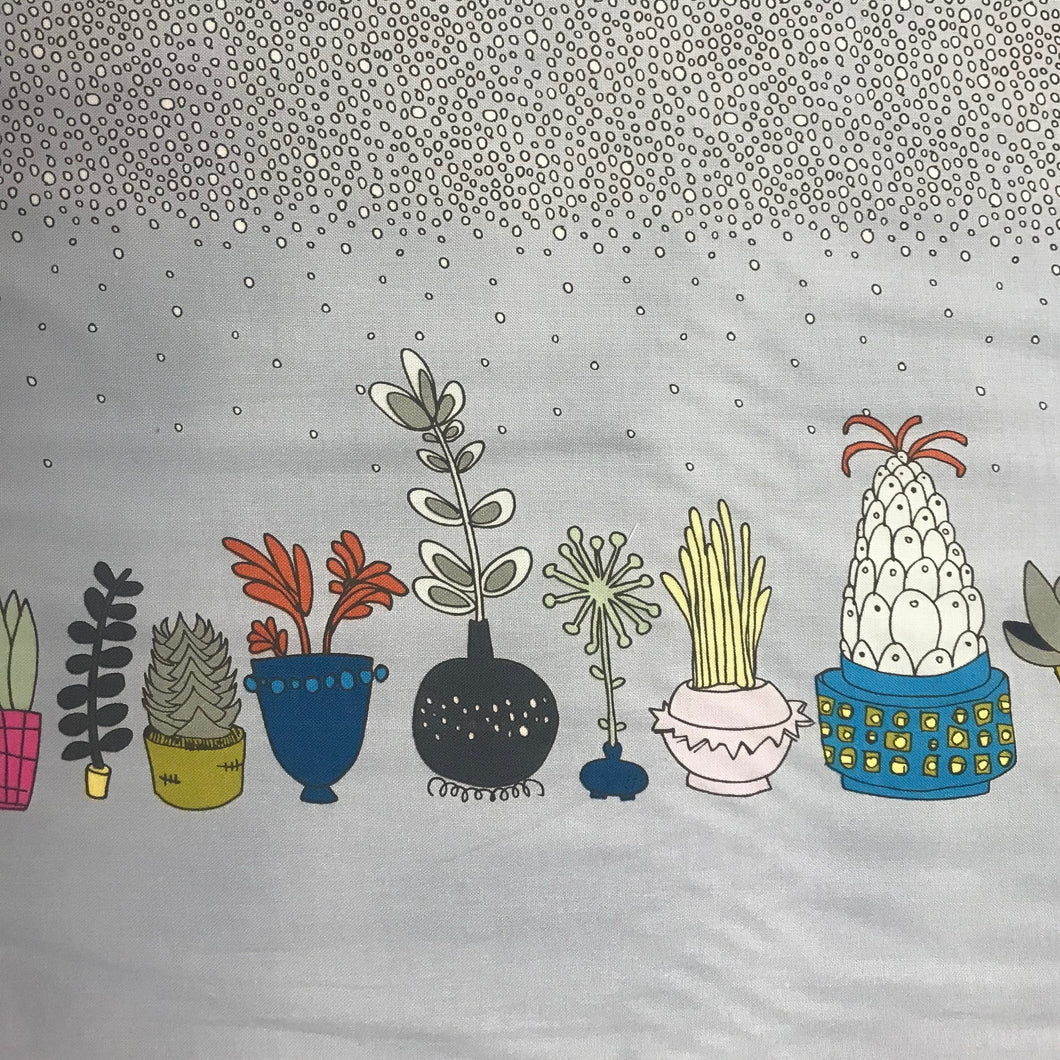 GP211 Wind Succulents Border