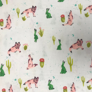 NP155 CS Mesa Desert Animal