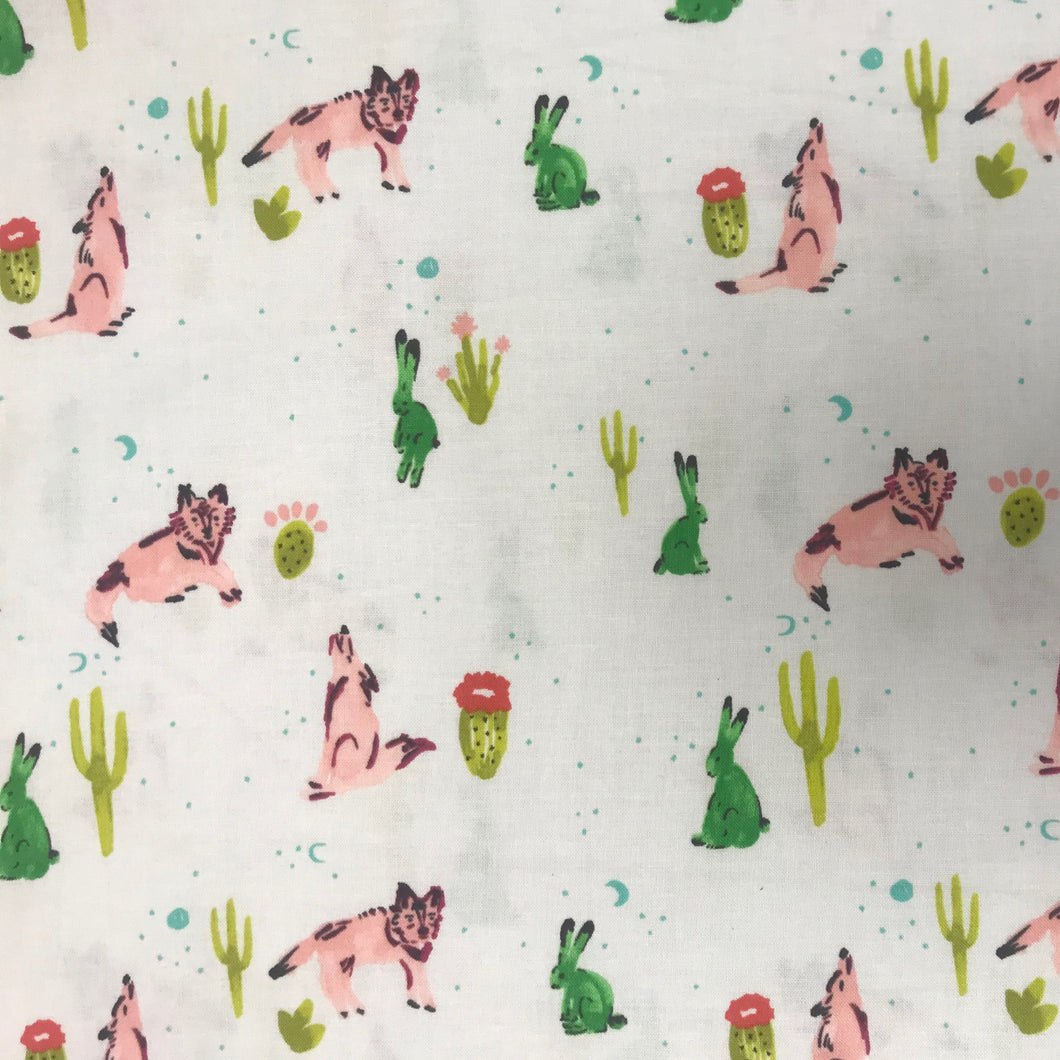 NP155 CS Mesa Desert Animal