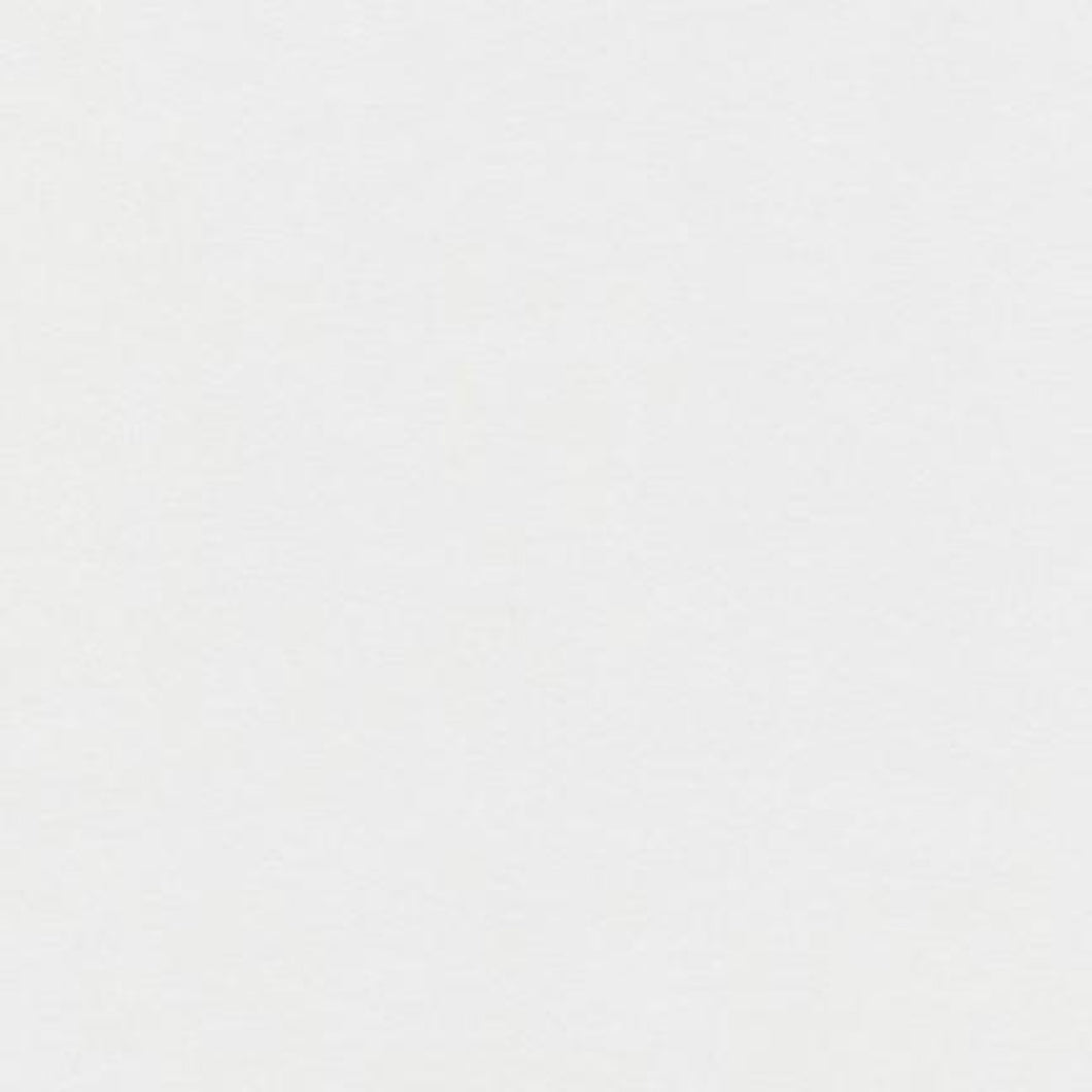 FS010 RK Solid Silver