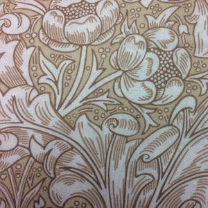 WM011 Bachelors Button Tan