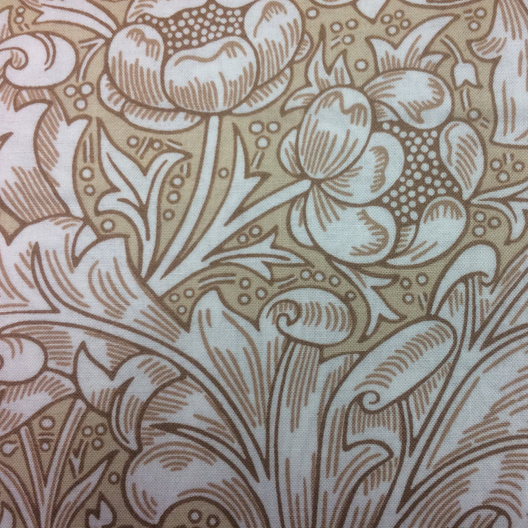WM011 Bachelors Button Tan