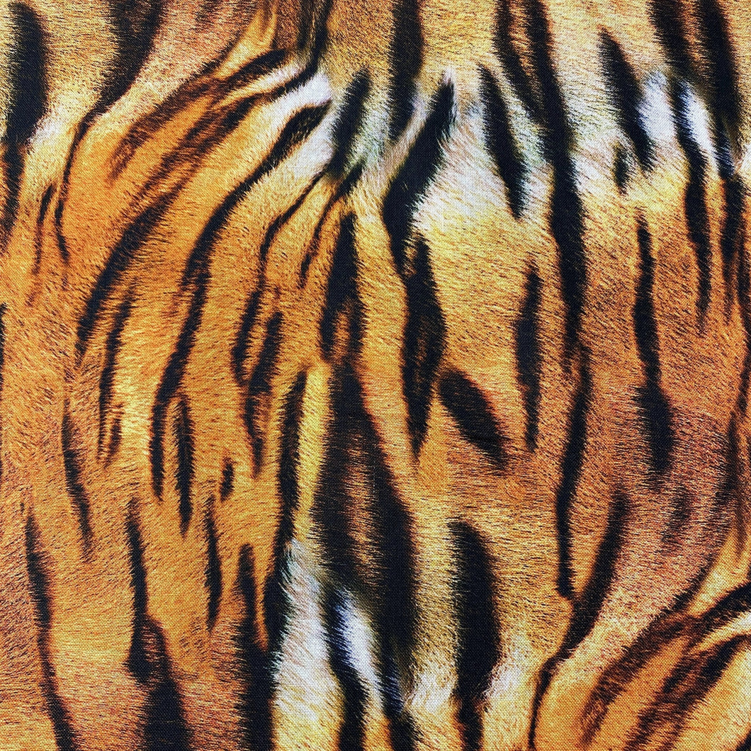NP149A Tiger Kingdom