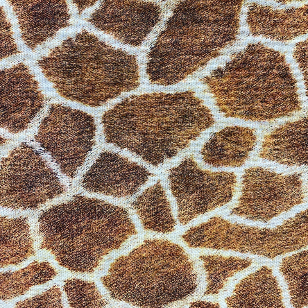 NP149 RK Giraffe Kingdom