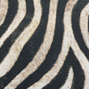 NP149B Zebra Kingdom