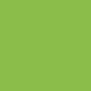 BS033 Lime