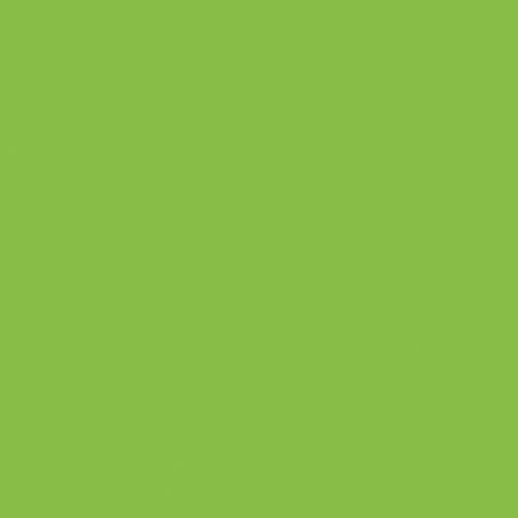 BS033 Lime