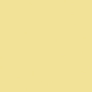 BS018 Light Yellow