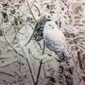 NP048 Timeless Winter Owl