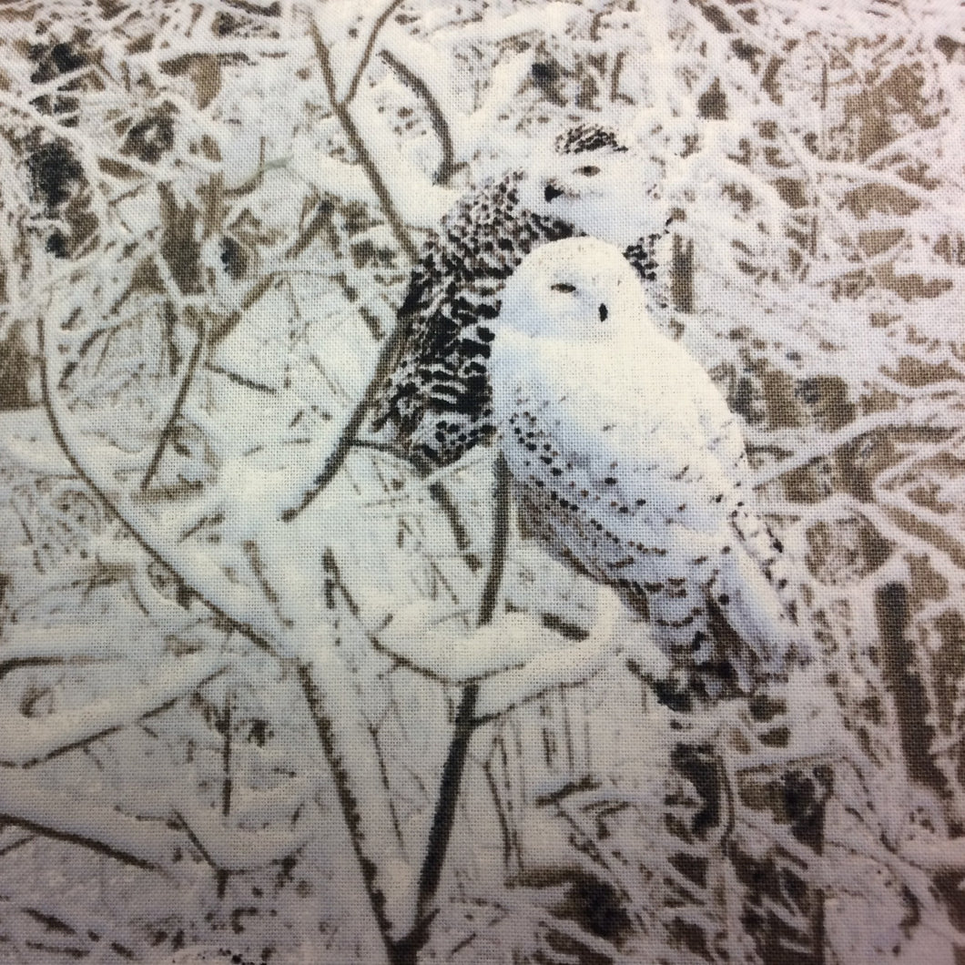 NP048 Timeless Winter Owl