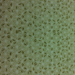 PC389 RR Noir Natural