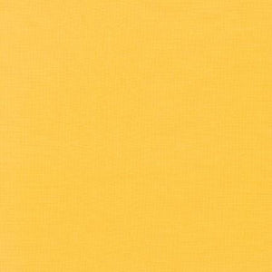 FLS003 Lemon